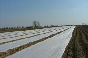 MAȘINI DE ACOPERIRE A PLANTELOR