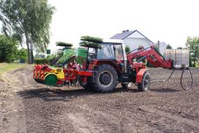 CARUSEL PLANTERS