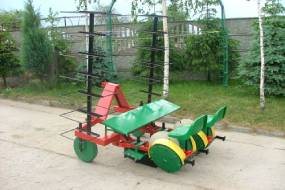 PLANTARE DISC